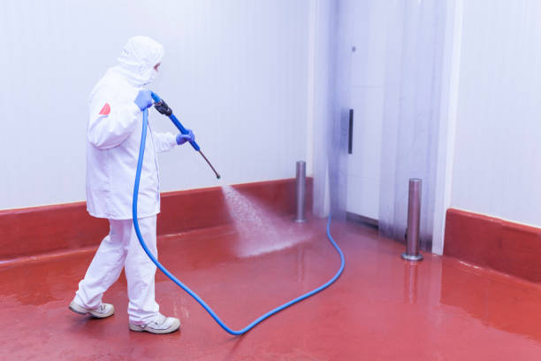 Best Solar Panel Cleaning  in , MI